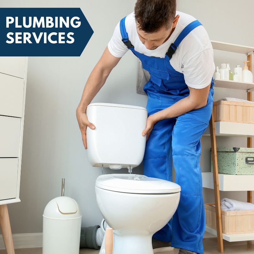 Plumbing Company in Mancelona, MI